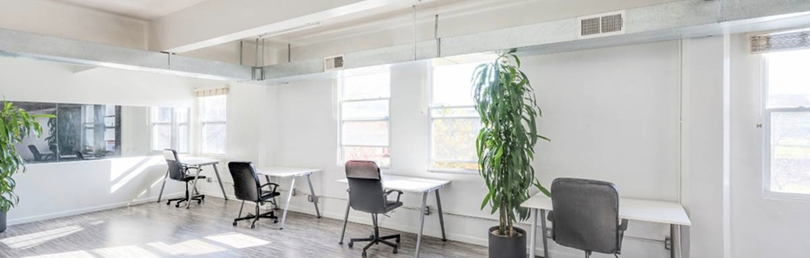 Espacio de oficina moderno y luminoso con varios escritorios, sillas y plantas, ideal para trabajo o estudio.