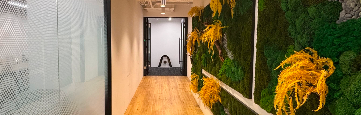 Pasillo moderno con suelo de madera, pared de cristal punteada y pared de musgo verde con plantas amarillas. Al fondo, una es